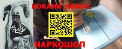 сатива Кингисепп