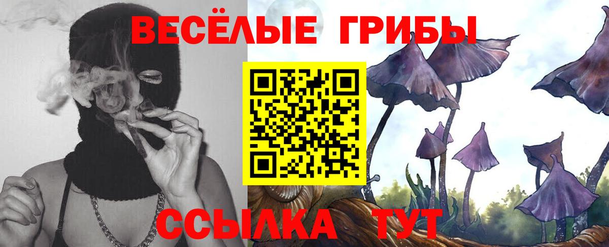 Псилоцибиновые грибы Magic Shrooms Владикавказ