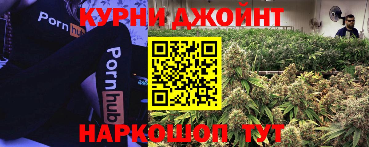 Конопля сатива Владикавказ